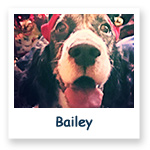 Bailey