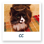 CC