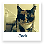 Jack