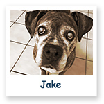 Jake