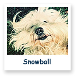 Snowball