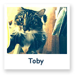 Toby