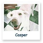 Casper