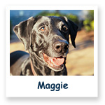 Maggie