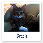 Gracie