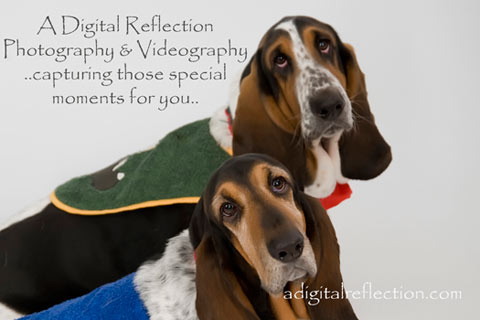 A Digital Reflection Photography