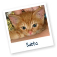 Bubba