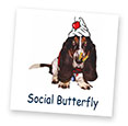 Social Butterfly